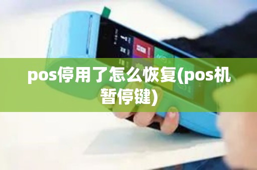 pos停用了怎么恢复(pos机暂停键)