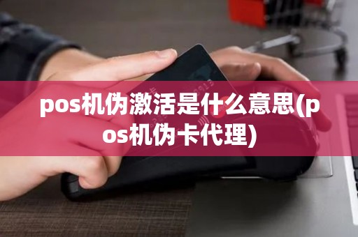 pos机伪激活是什么意思(pos机伪卡代理)