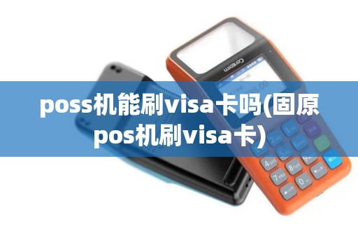 poss机能刷visa卡吗(固原pos机刷visa卡)