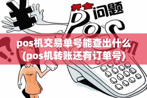 pos机交易单号能查出什么(pos机转账还有订单号)