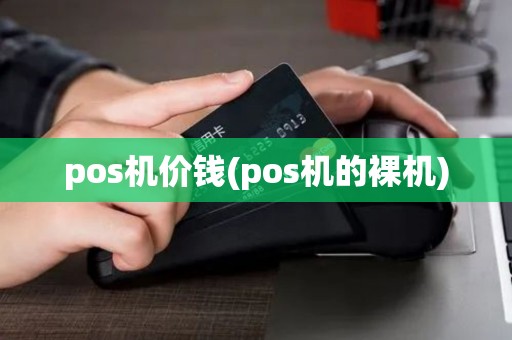 pos机价钱(pos机的裸机)