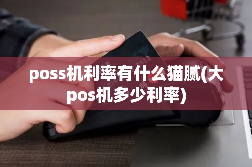 poss机利率有什么猫腻(大pos机多少利率)
