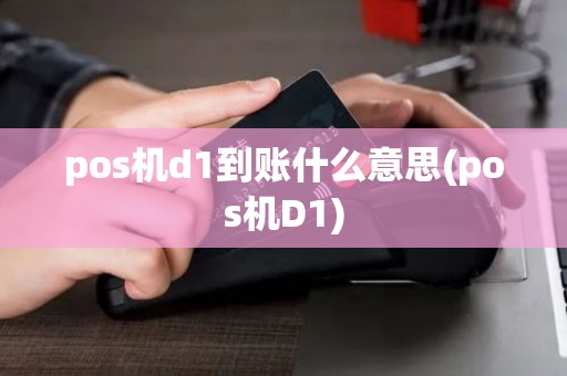 pos机d1到账什么意思(pos机D1)