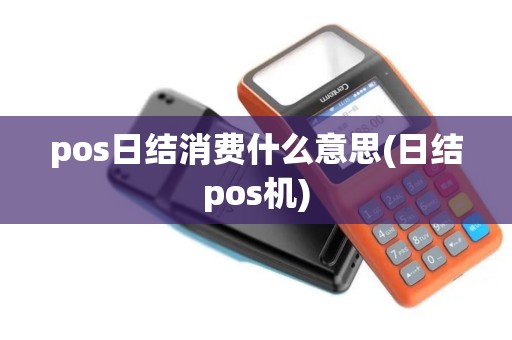 pos日结消费什么意思(日结pos机)
