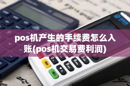 pos机产生的手续费怎么入账(pos机交易费利润)