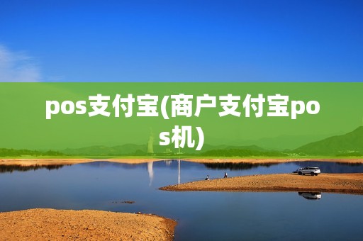 pos支付宝(商户支付宝pos机)