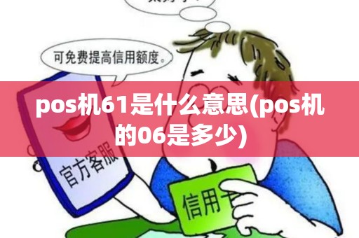 pos机61是什么意思(pos机的06是多少)