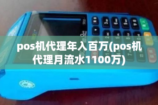 pos机代理年入百万(pos机代理月流水1100万)