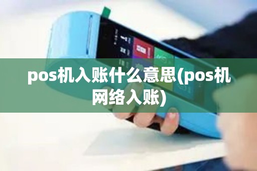 pos机入账什么意思(pos机网络入账)