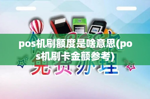 pos机刷额度是啥意思(pos机刷卡金额参考)