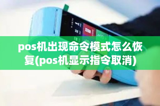pos机出现命令模式怎么恢复(pos机显示指令取消)