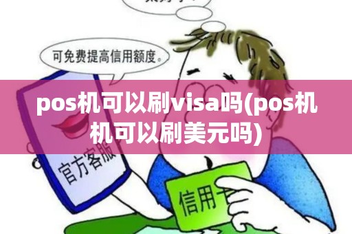 pos机可以刷visa吗(pos机机可以刷美元吗)