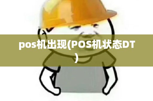 pos机出现(POS机状态DT)