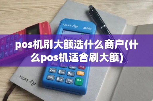 pos机刷大额选什么商户(什么pos机适合刷大额)