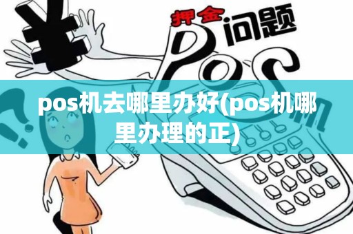 pos机去哪里办好(pos机哪里办理的正)