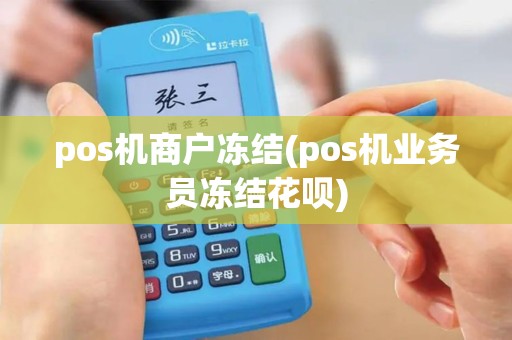 pos机商户冻结(pos机业务员冻结花呗)