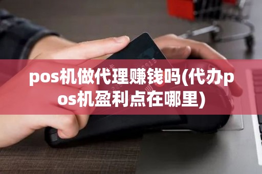 pos机做代理赚钱吗(代办pos机盈利点在哪里)