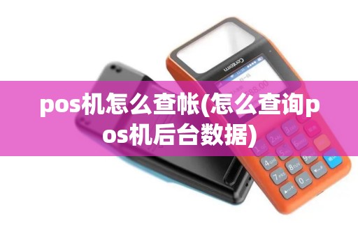 pos机怎么查帐(怎么查询pos机后台数据)