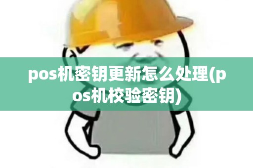 pos机密钥更新怎么处理(pos机校验密钥)