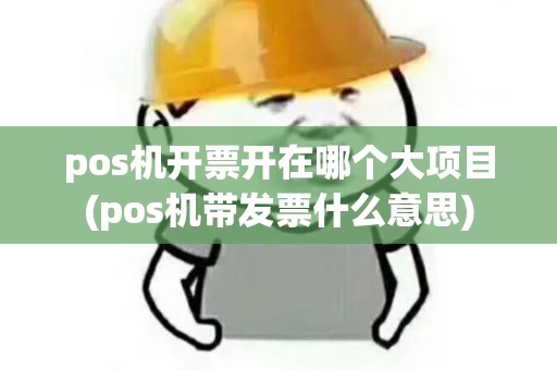 pos机开票开在哪个大项目(pos机带发票什么意思)
