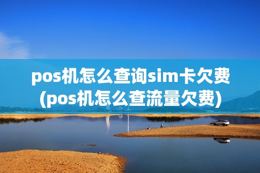 pos机怎么查询sim卡欠费(pos机怎么查流量欠费)