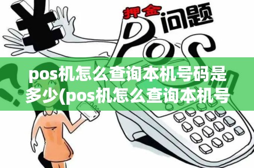 pos机怎么查询本机号码是多少(pos机怎么查询本机号)