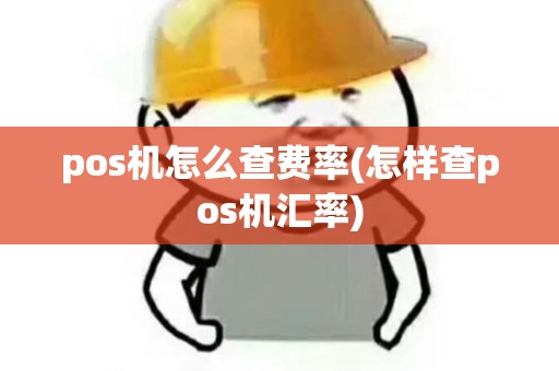 pos机怎么查费率(怎样查pos机汇率)
