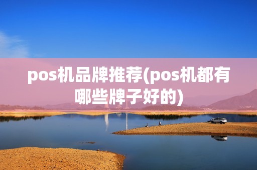 pos机品牌推荐(pos机都有哪些牌子好的)