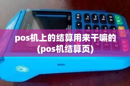 pos机上的结算用来干嘛的(pos机结算页)