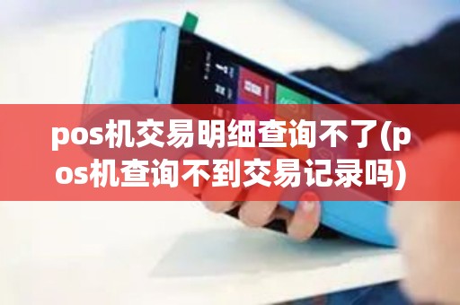 pos机交易明细查询不了(pos机查询不到交易记录吗)