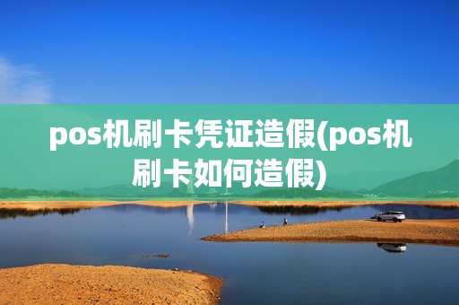 pos机刷卡凭证造假(pos机刷卡如何造假)