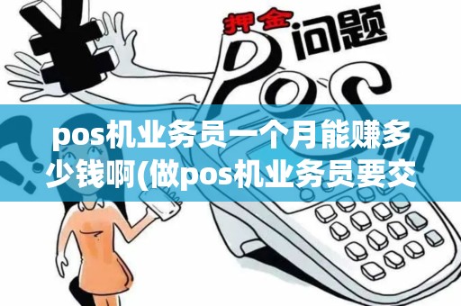 pos机业务员一个月能赚多少钱啊(做pos机业务员要交钱)