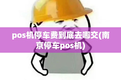 pos机停车费到底去哪交(南京停车pos机)