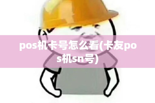 pos机卡号怎么看(卡友pos机sn号)
