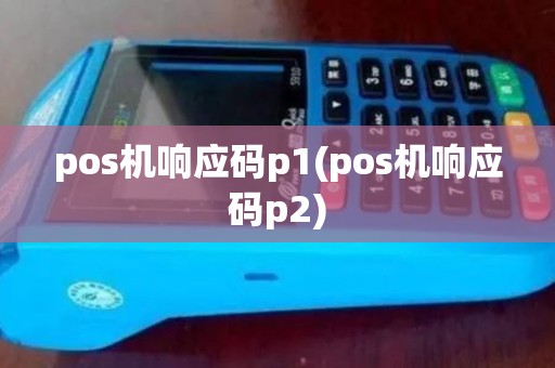 pos机响应码p1(pos机响应码p2)