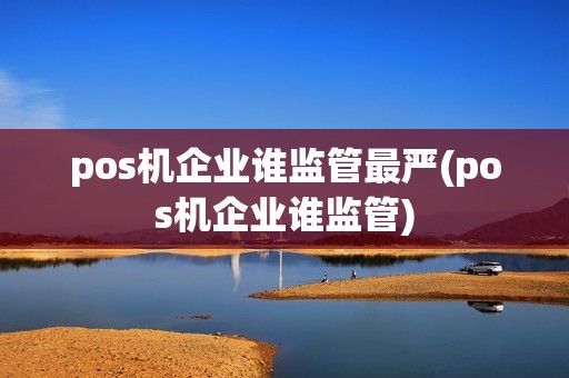 pos机企业谁监管最严(pos机企业谁监管)