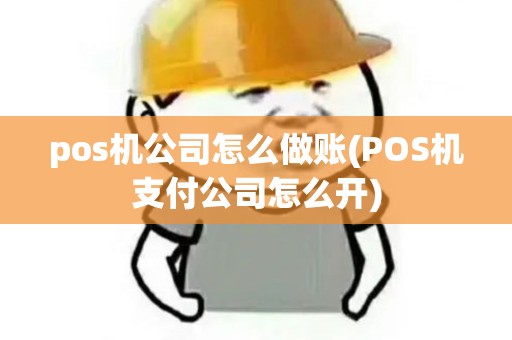 pos机公司怎么做账(POS机支付公司怎么开)