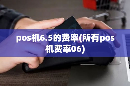 pos机6.5的费率(所有pos机费率06)