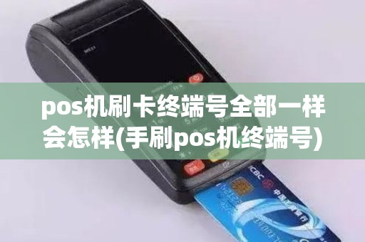 pos机刷卡终端号全部一样会怎样(手刷pos机终端号)