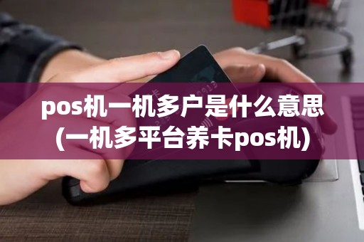 pos机一机多户是什么意思(一机多平台养卡pos机)