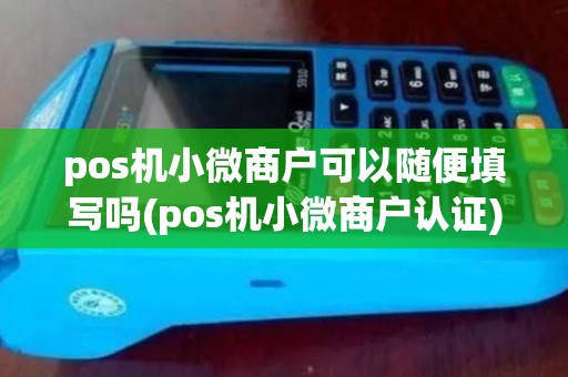 pos机小微商户可以随便填写吗(pos机小微商户认证)