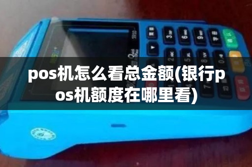 pos机怎么看总金额(银行pos机额度在哪里看)