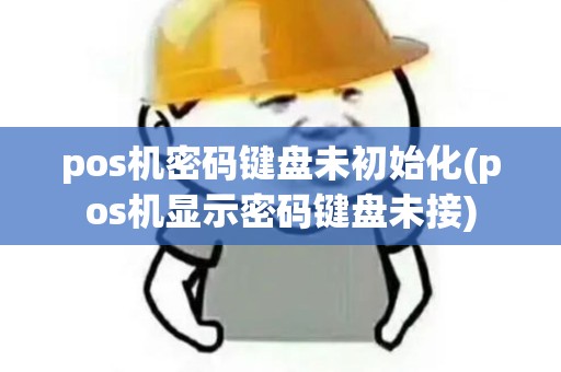 pos机密码键盘未初始化(pos机显示密码键盘未接)