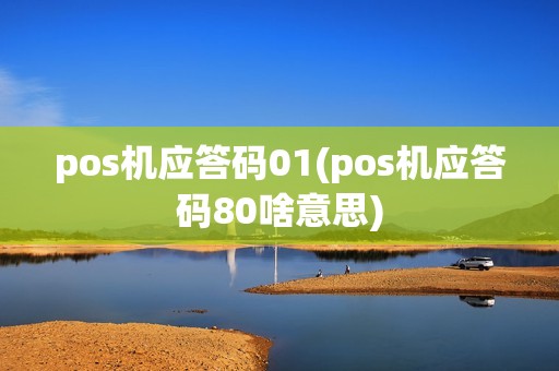 pos机应答码01(pos机应答码80啥意思)
