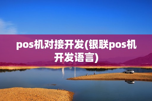 pos机对接开发(银联pos机开发语言)