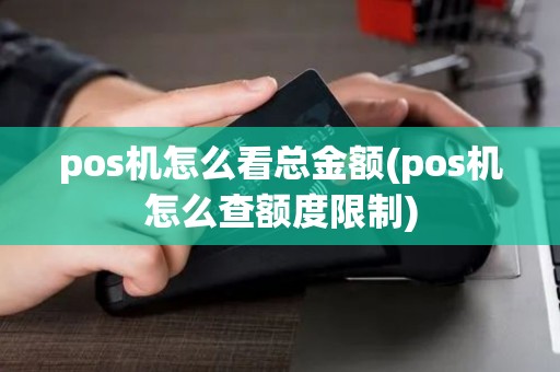 pos机怎么看总金额(pos机怎么查额度限制)
