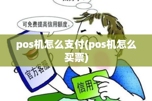 pos机怎么支付(pos机怎么买票)