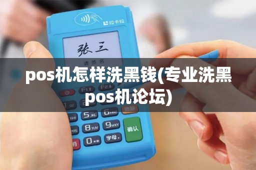 pos机怎样洗黑钱(专业洗黑pos机论坛)