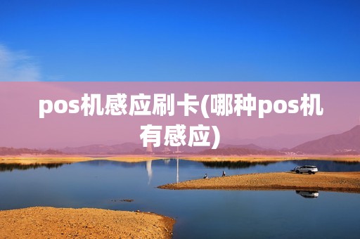pos机感应刷卡(哪种pos机有感应)