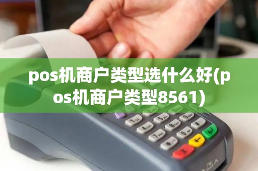 pos机商户类型选什么好(pos机商户类型8561)